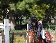 Testi Carry me on GioCav2013 S6 7380 : Campionati Italiani Giovani Cavalli, Carry me on, Cattolica, Testi Martina, ph Stefano Secchi ©